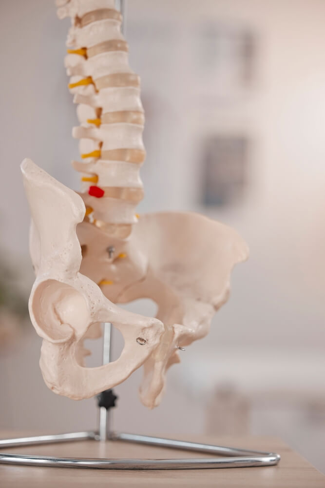 fizjoterapia uroginekologiczna